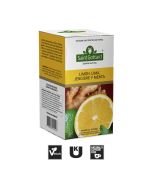 LIMÓN, LIMA, JENGIBRE Y MENTA